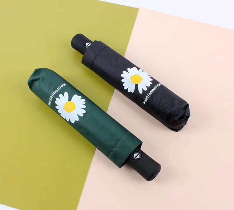 Factory directly supply Photo Full Printing Umbrella - Best quality auto open and auto close fold umbrella – Outdoors