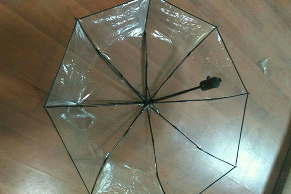 Professional China Waterproof Anti-Uv Parasol - Auto open and auto close transparent folding umbrella – Outdoors