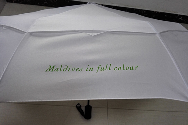 Manufacturer for Color Changing Umbrella - Double layer luxury foldable umbrella – Outdoors
