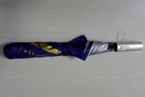 Two fold auto open umbrella
