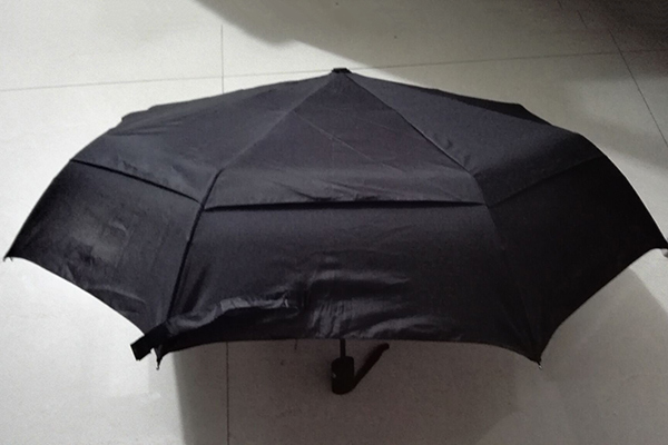 Manufacturer for Color Changing Umbrella - Double layer luxury foldable umbrella – Outdoors