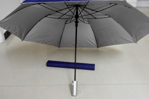 Two fold auto open umbrella