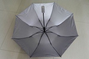 Two fold auto open umbrella