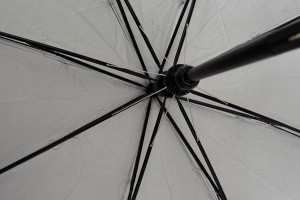 Two fold auto open umbrella