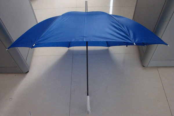 Excellent quality Logo Printed Umbrella - Auto open promotion straight umbrella – Outdoors