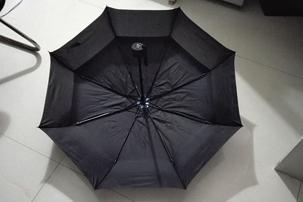 Manufacturer for Color Changing Umbrella - Double layer luxury foldable umbrella – Outdoors