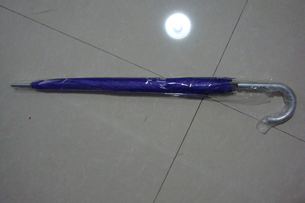 Excellent quality Logo Printed Umbrella - Auto open promotion straight umbrella – Outdoors