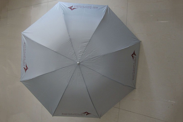 factory low price Inverted Reverse Umbrella - Gift promotion premium umbrella – Outdoors