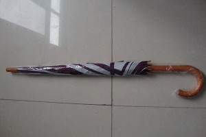 Premium Gift walking Umbrella