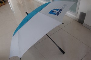 Auto open dual canopy luxurious umbrella
